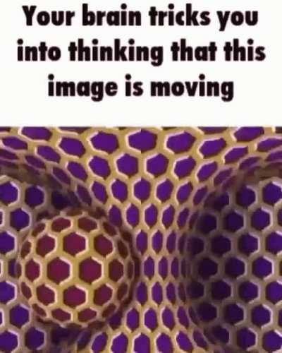THIS IS INSANE!!!