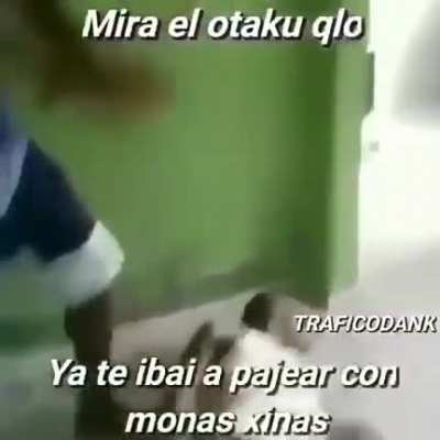 Sex