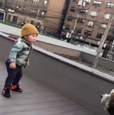 14 months old kid seeing a dog for the first time