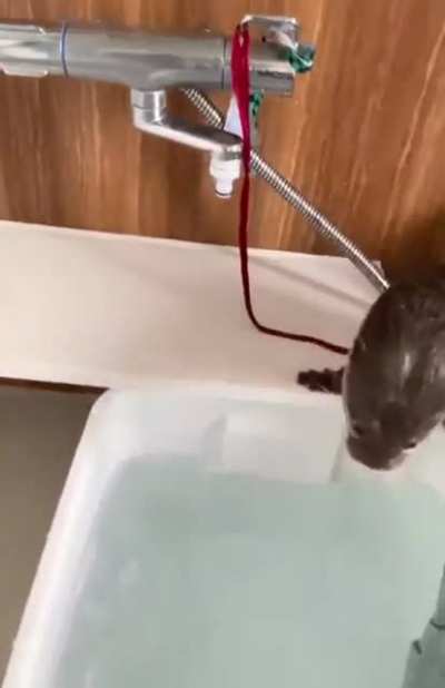Isso &eacute; muita fofura pra uma pessoa s&oacute;