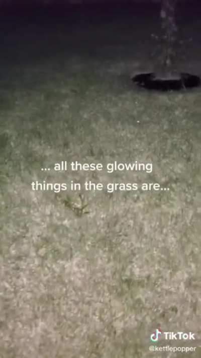 OH MY