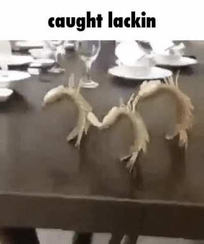 Caut lakin