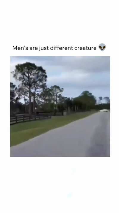 a toy for men