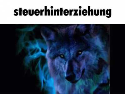 Das Finanzamt schweigt, wenn mein innerer Wolf erwacht. Awooo! 🐺