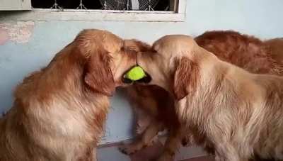 &ldquo;I don&rsquo;t want the ball, I just want to feel included
