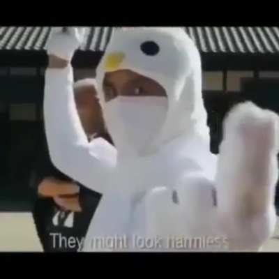Day 4 of posting old memes from my saved