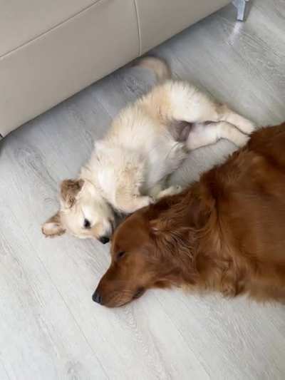 He&rsquo;s been ignoring her for one day&hellip;l think she&rsquo;s going to win his heart.