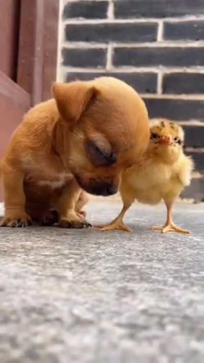 I'm sleepy bro! help! LOL