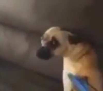 hmm