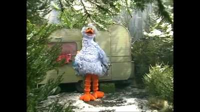 Pino, Big Bird's cousin from the Netherlands