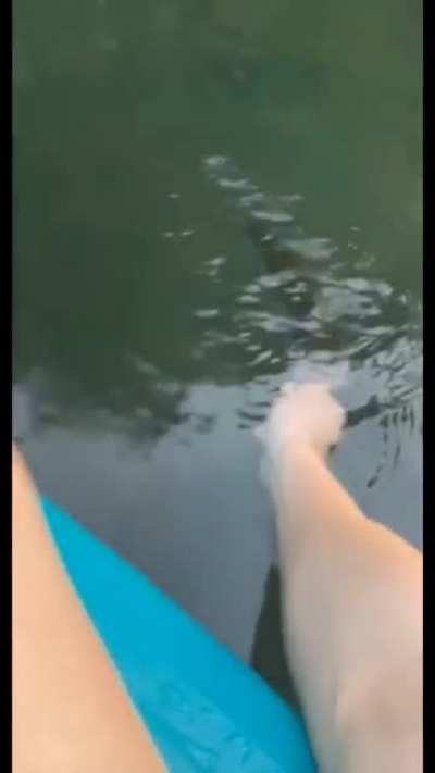 Releasing a fish
