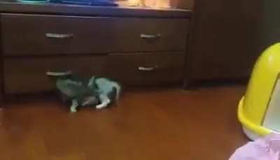 You scared me!