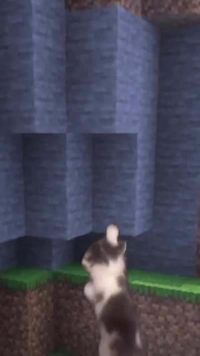syfxcatfdsagofjdmsl,