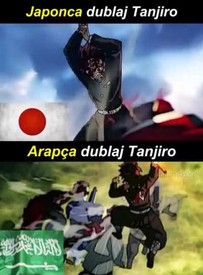 Arap&ccedil;a anime 