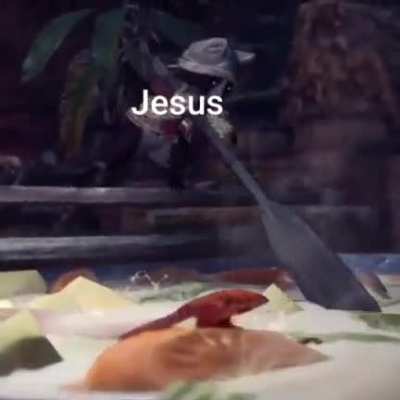 Cook