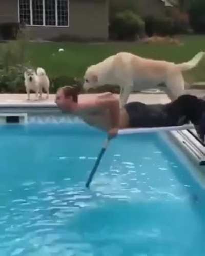 I'm sure in their minds they were helping...