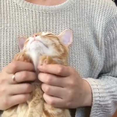 Paw massage