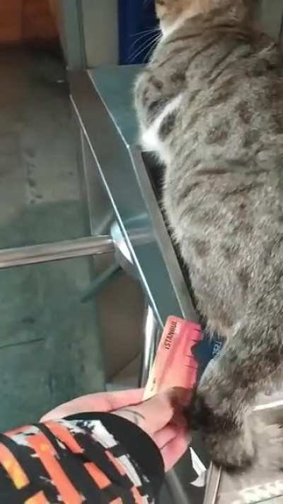 Hey dont touch me dude!
