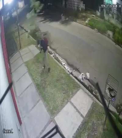 Merlo: Le gust&oacute; el &aacute;rbol y se lo rob&oacute;