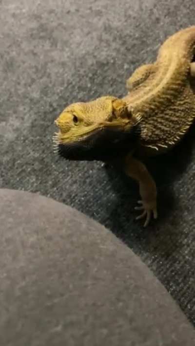 He stopped mid-bob to pose for a picture!!!