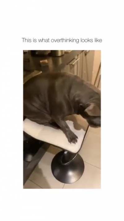 me_irl