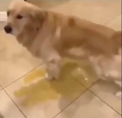 Asserting dominance