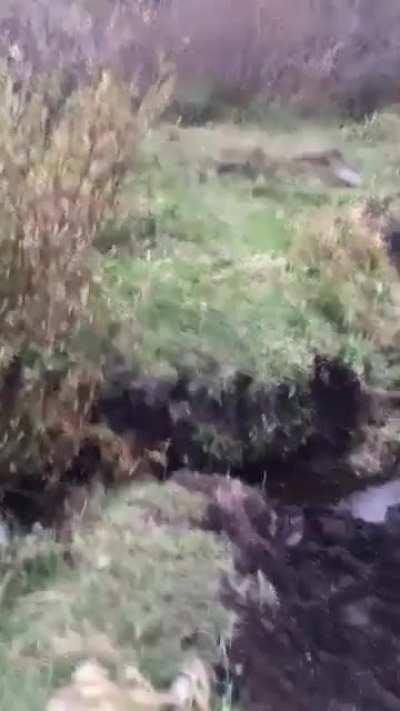 . . . to jump this canyon.