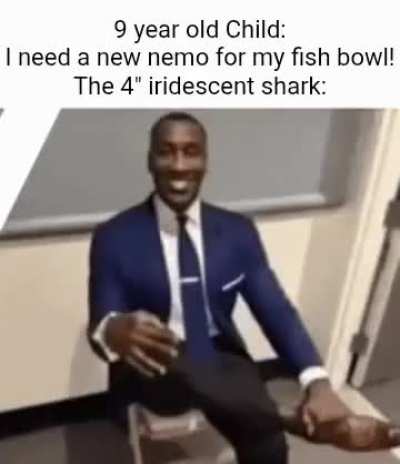 "Oooo a shark!"