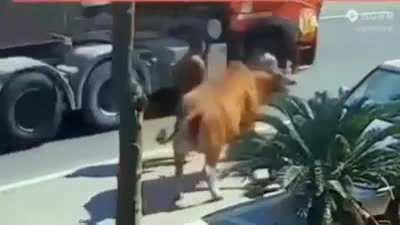 Shitty day ( NSFW )