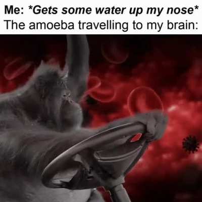 Luckily I&rsquo;m safe, it's gonna starve
