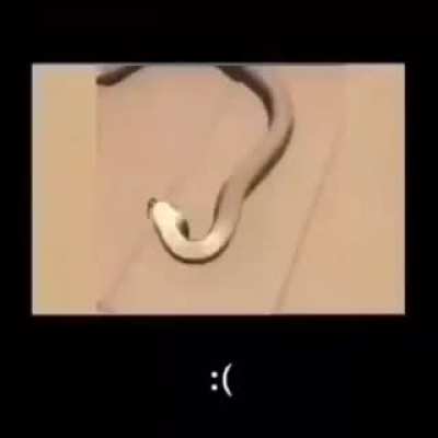 :(