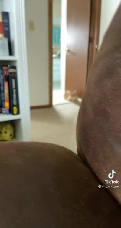 He attacc
