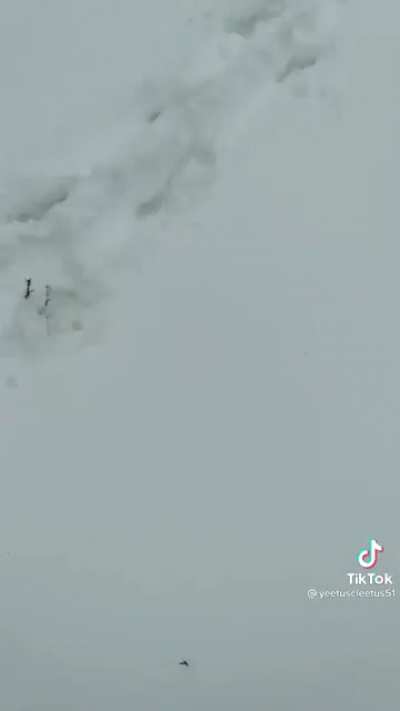 I'm not sure if this should be flaired loud, my hearing is fucked. Just let me know if it should be