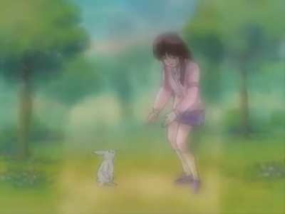 &ldquo;Not because you are a rabbit&rdquo;