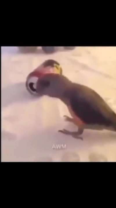O&ccedil; yawwwww