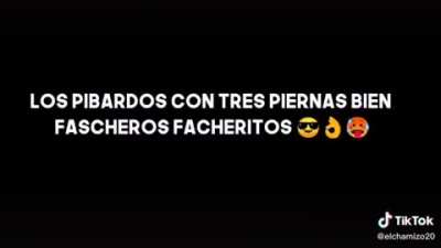 Xd