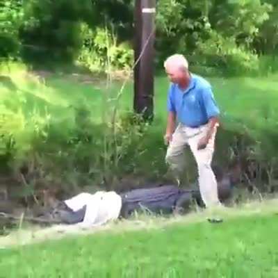 American tourist tried to ride an alligator
