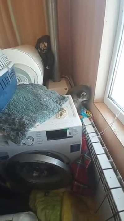 Илюша, дрянь беззубая, выходи...