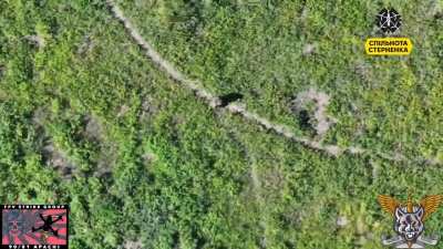 UA 81st Airmobile Brigade's 90th Battalion "Strike Group Apachi" drone team posted unusual footage showing a Russian soldier apparently making no effort to defend himself from an incoming FPV strike drone. Published June 29, 2024