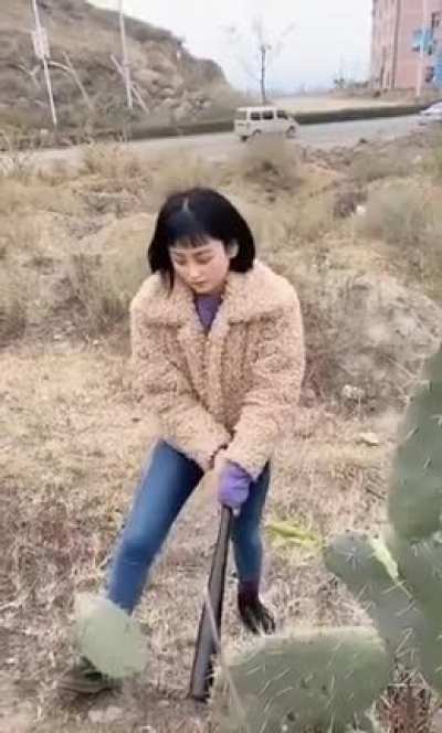 'I'm so bad, I'm gonna damage a plant for absolutely no reason'