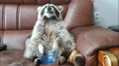 Where'd My Grapes Go?
