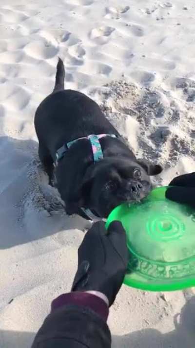 I think she took the frisbee play too seriously.