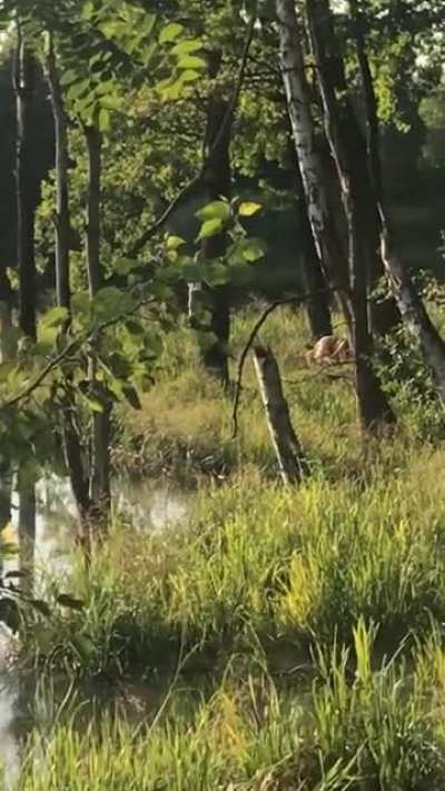 Nature is beatiful