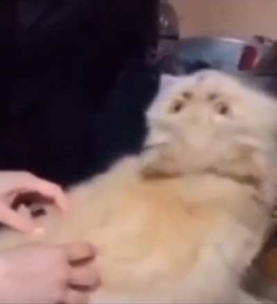 hmm