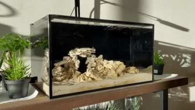A calming looped gif of my new saltwater aquarium