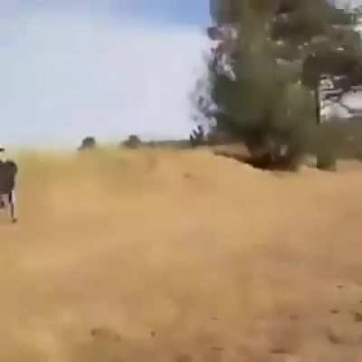 OE AWEONAO ERI TERRIBLE MARACO