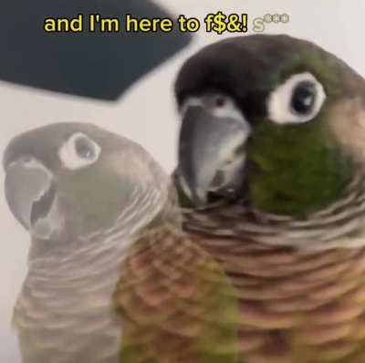 This one isn’t afraid of saying it
