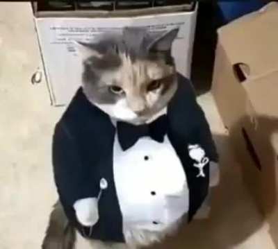 ok
