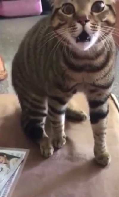 He doesn&rsquo;t bite, he just takes souls