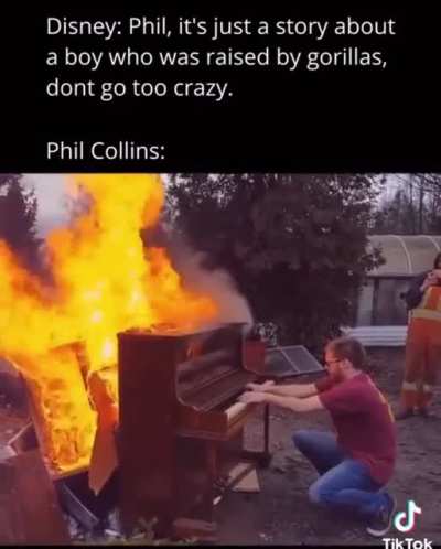 Gorillas went crazy